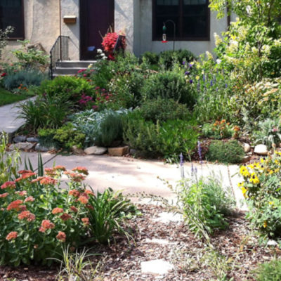 Rain Gardens – Blue Thumb