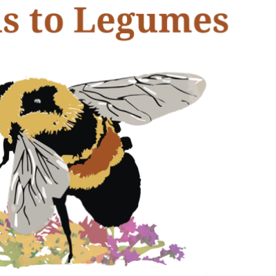 Lawns to Legumes - Your yard can bee the change