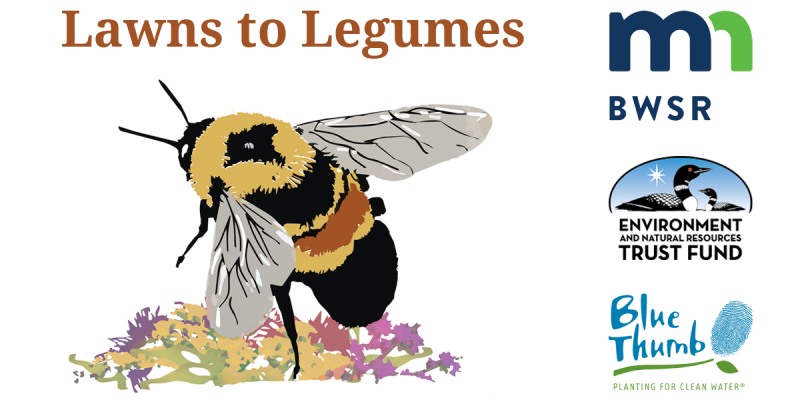 Lawns to Legumes - Your yard can bee the change