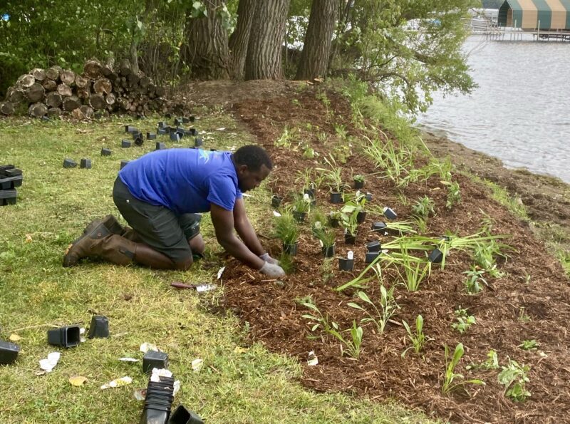 man on knees planting garden