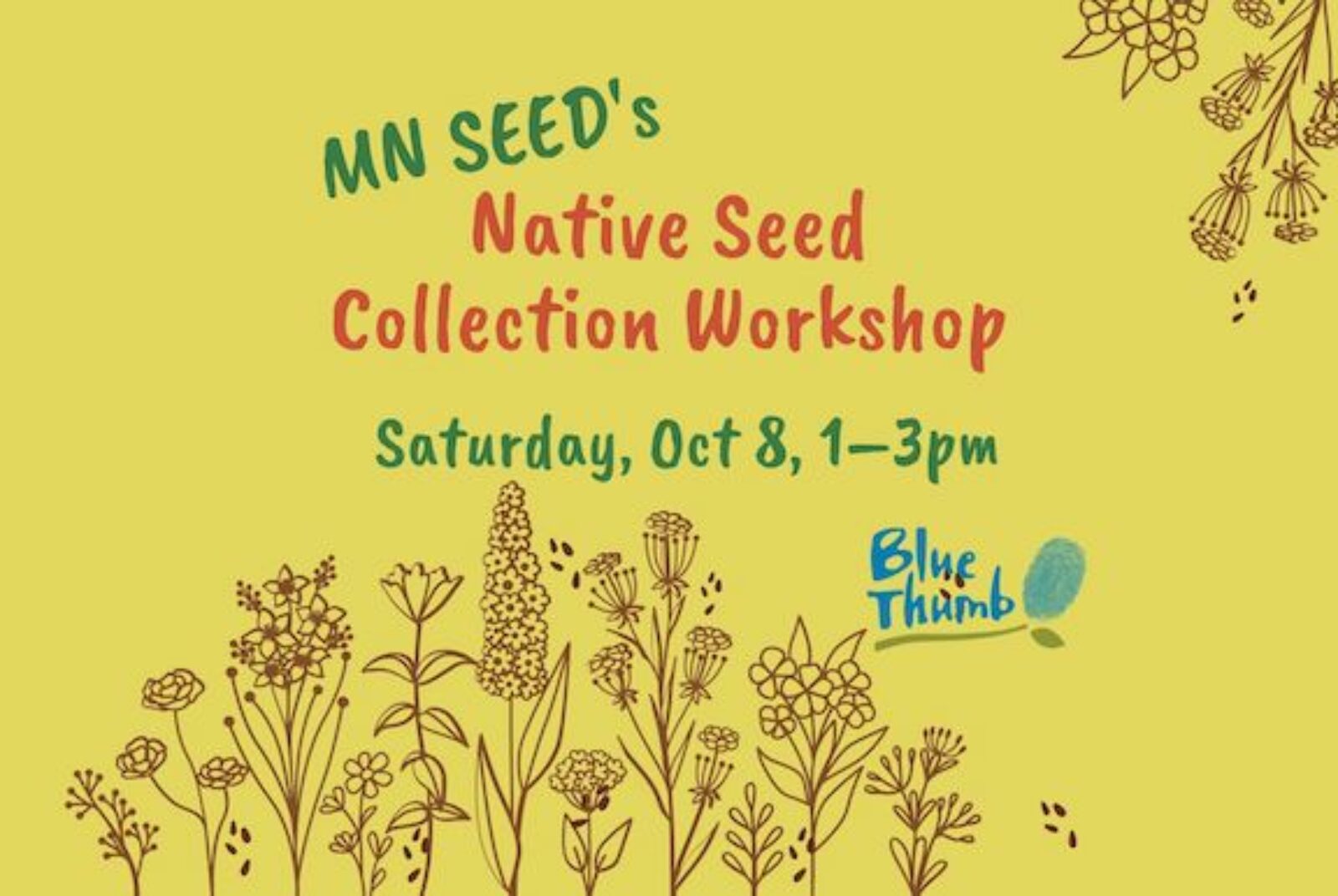MN SEED Native Seed Collection 2 Blue Thumb