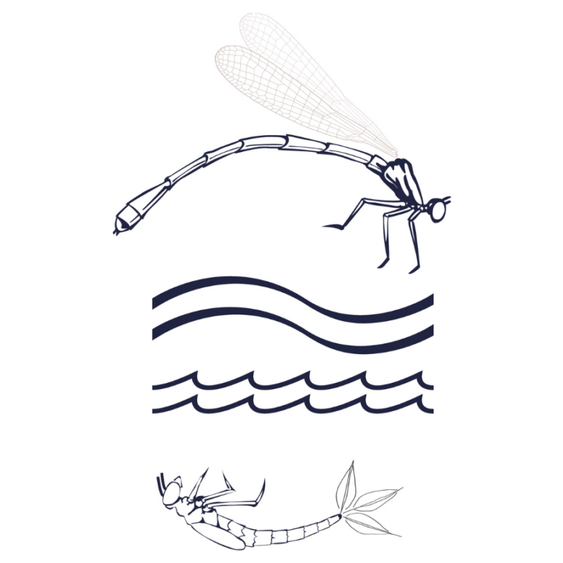 Dragons Wynd logo, black and white outline of fireflies and waves