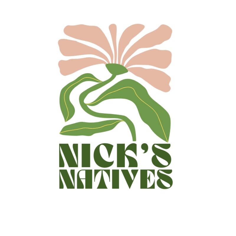 Nicks Natives logo, light pink flower illustration with green leaves and green text