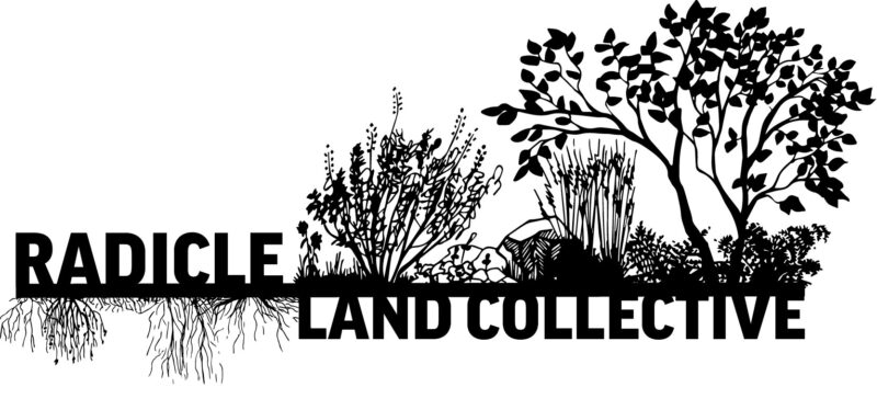radicle land collective logo with native plants and their roots