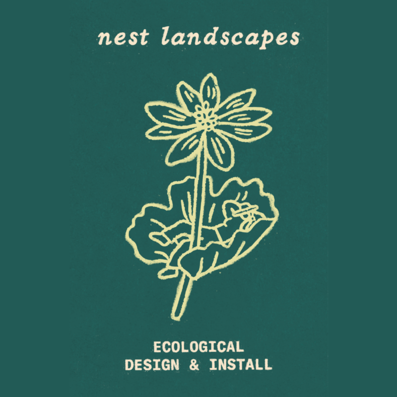 nest landscapes logo yellow flower illustration over dark green background