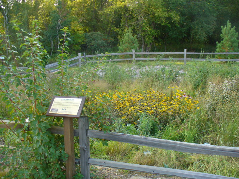 A Sunshine Gardens rain garden project.