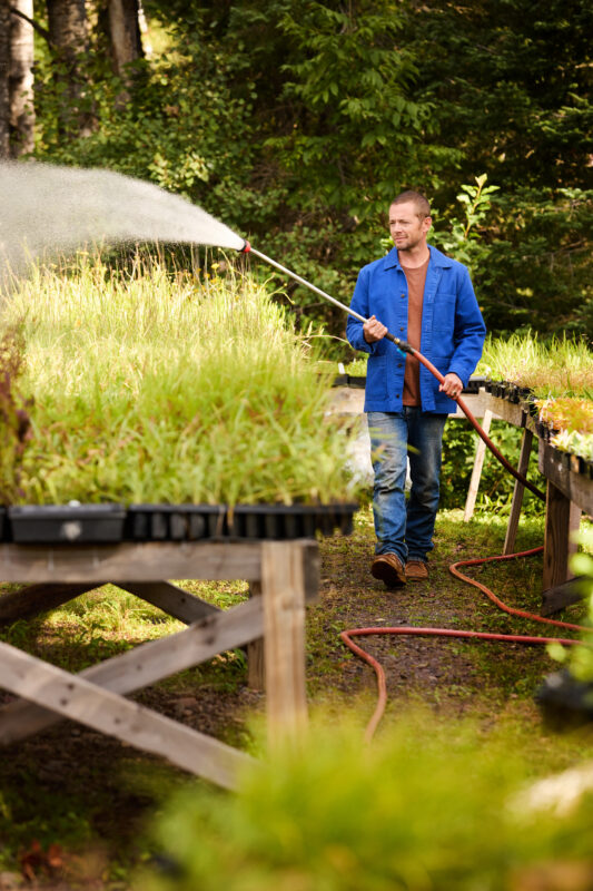 Dan waters plants at Shoreview Natives.